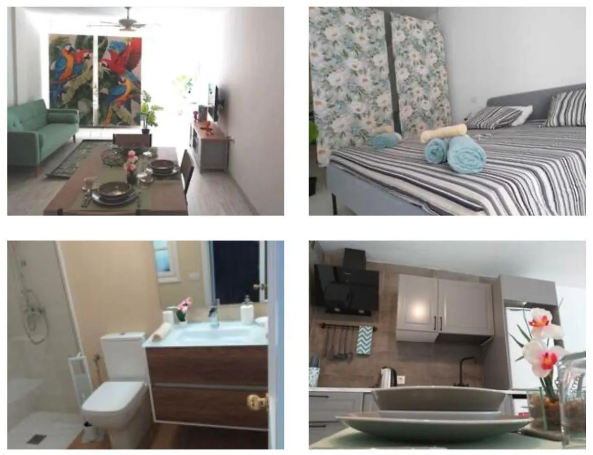 Tropical Loft Apartment Corralejo Spain