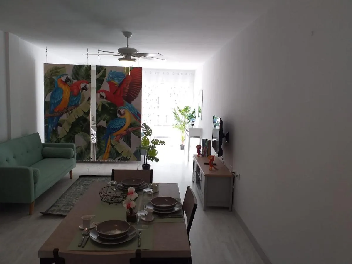 Tropical Loft Lejlighed Corralejo
