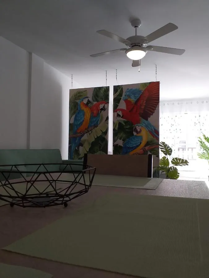 Tropical Loft Lejlighed Corralejo 0*,  Spanien